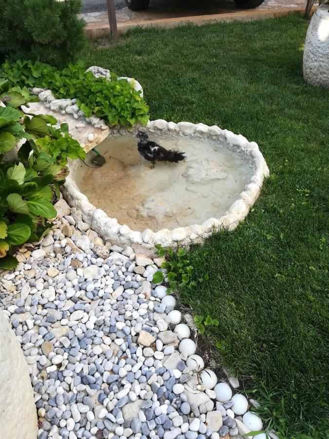 Apartmani Villa Otilija Πόρετς Εξωτερικό φωτογραφία